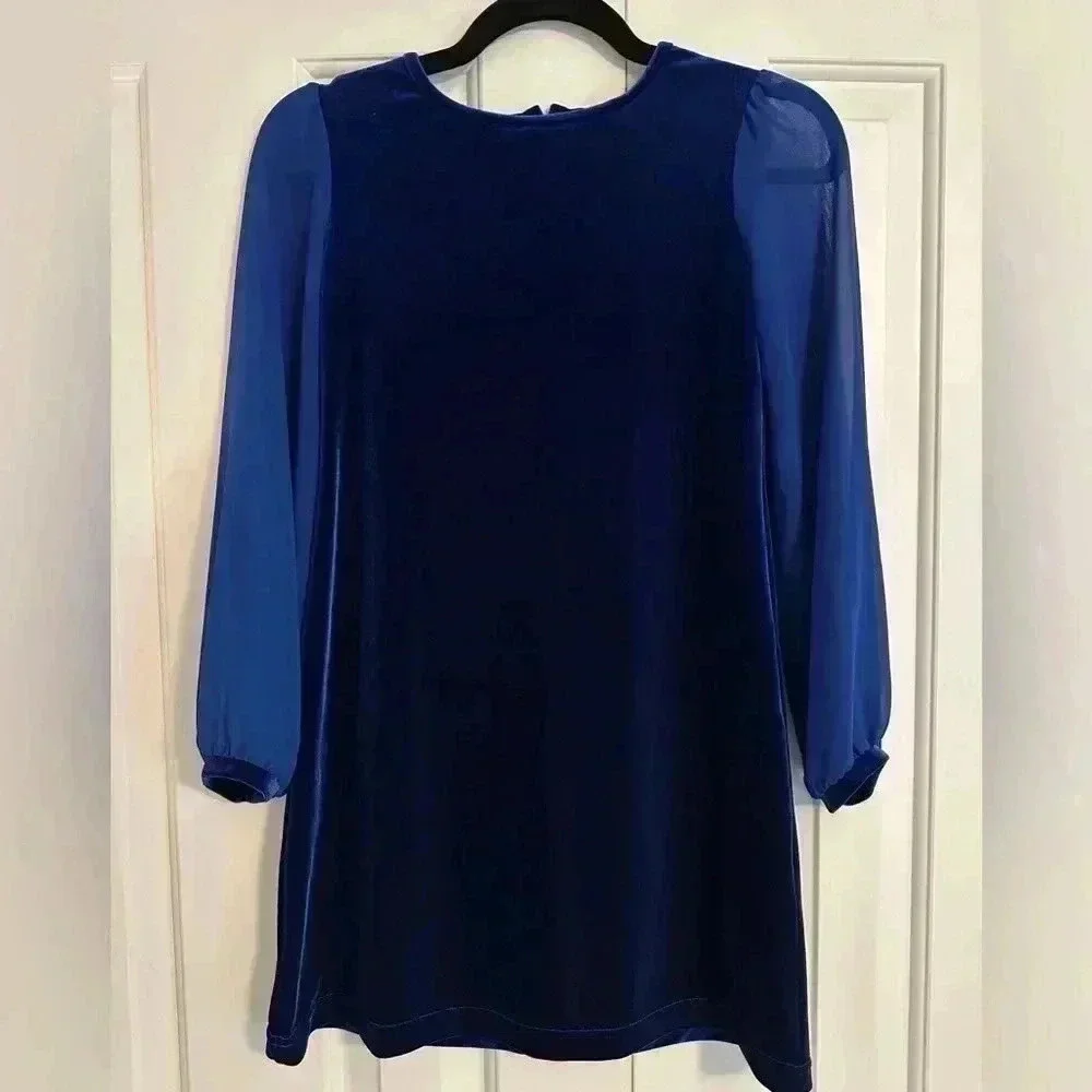 FLORENCE EISEMAN Girls Stretch Velvet Dress w/ Chiffon Sleeves